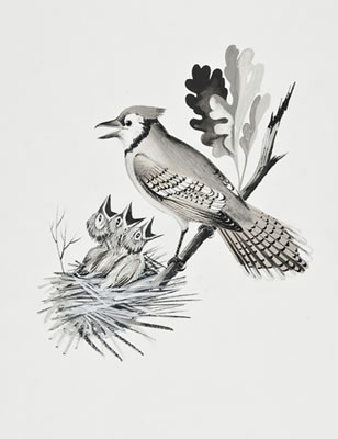 6 original illustrations to "Whose Little Bird Am I?"