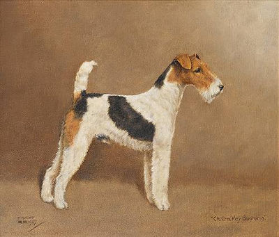 Portrait of the champion Wire-Haired Fox Terriers 'Crackley Supreme' and 'Ch Barry Benedict'