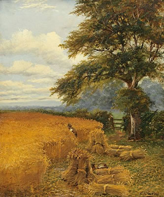 Summer harvest