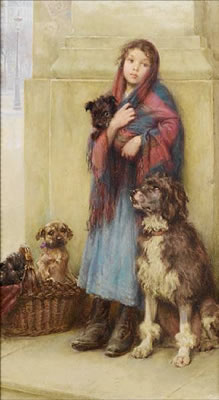 Dogs for Sale