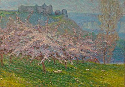 Sheep grazing beneath flowering apple trees