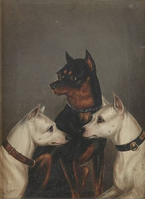 A study of three Terriers