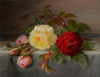 A still life of roses