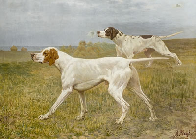 Sample artwork by Alexandre (A Clarys) Clarys (1857 - 1912), known for pure-bred dog portraits, cattle and equestrian scene painting, illustration - View similar artists and auction records
