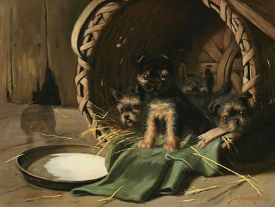 Sample artwork by Sidney Brackett (1852 - 1910), known for domestic dog and cat paintings, landscape, water scenes - View similar artists and auction records
