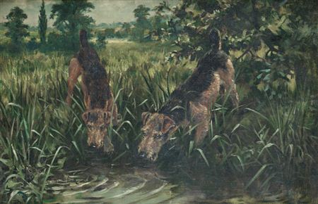 Airedales on the scent