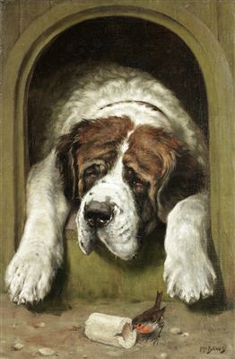 The old bone