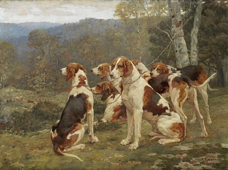 Foxhounds resting