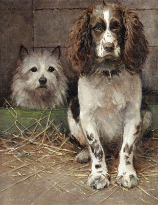 Spaniel and Cairn