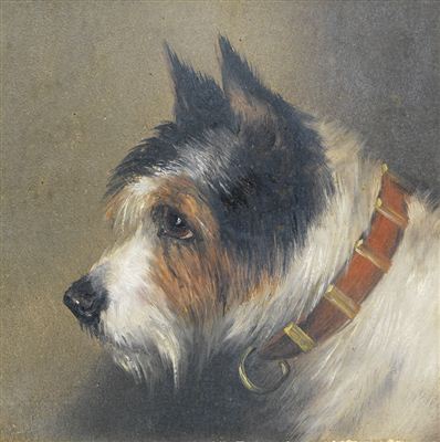 A black and tan Terrier; A black, white and tan Terrier: Two
