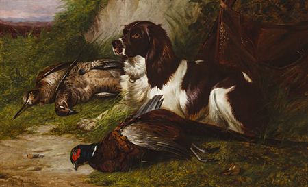 Spaniel with game