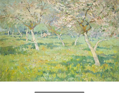 Flowering orchard