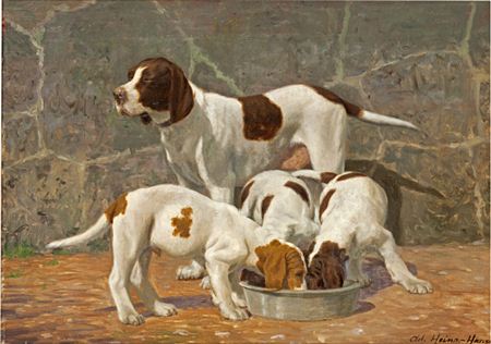 A pointer with her puppies