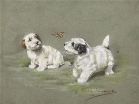 The butterfly