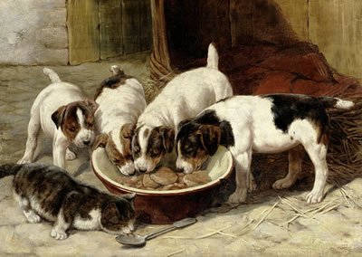 A shared meal