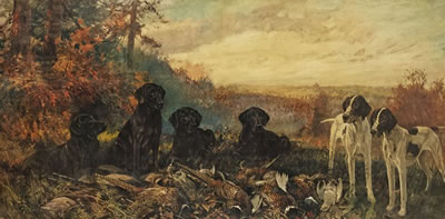 Sample artwork by Frederick Thomas Daws (1878 - 1956), known for expressive canine painting and sculpture - View similar artists and auction records