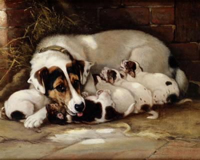 Mother's brood by Valentine Thomas Garland - Auction record, sale price, and art valuation. Compare with similar artists and explore comparable artworks.