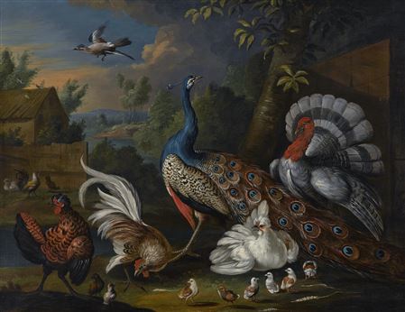 A peacock, a turkey, a rooster and chickens in a courtyard