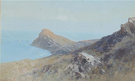 'A rocky headland'