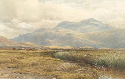 Highland landscape