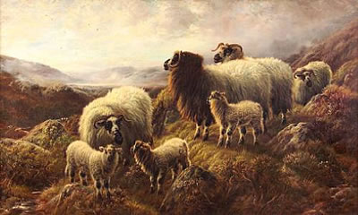 Sheep in a Highland landscape