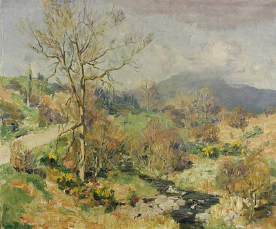 A burn in winter
