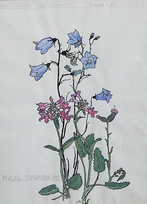 Hairbell by Mary Newbery Sturrock - Auction record, sale price, and art valuation. Compare with similar artists and explore comparable artworks.