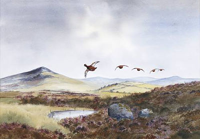 Grouse over a moor