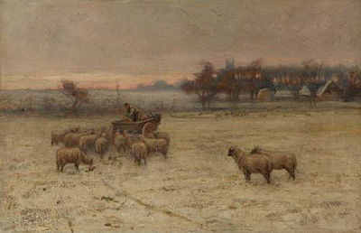 Winter feed