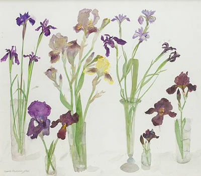 Irises