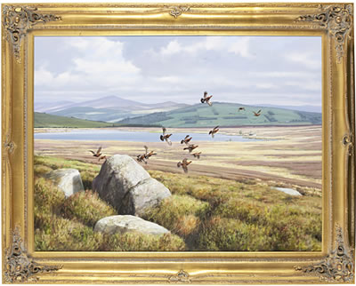 A Covey of Grouse Alighting