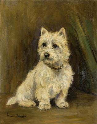 West Highland Terrier