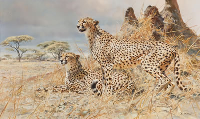 Cheetahs by Donald Grant - Auction record, sale price, and art valuation. Compare with similar artists and explore comparable artworks.