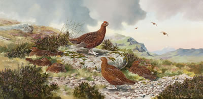 Sample artwork by Robert W Milliken (1920 - 2014), known for watercolor wildlife bird paintings - View similar artists and auction records