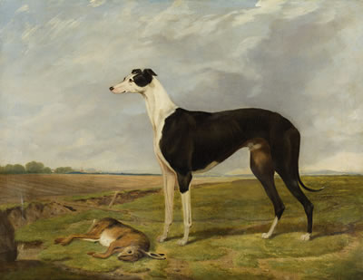 Brigadier, winner of the Waterloo Cup 1866