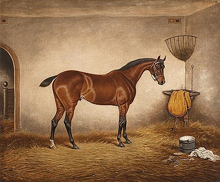 A bay horse Mariner in a stable