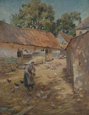 Feeding the chickens