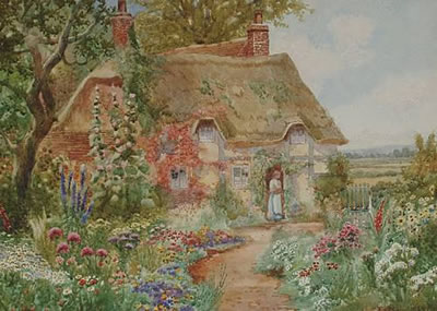 A cottage garden