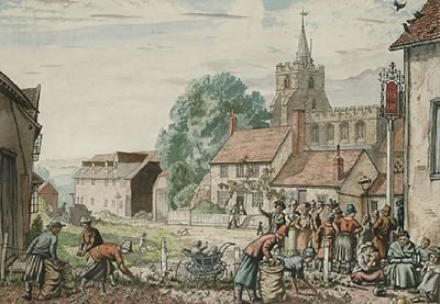 Potato picking