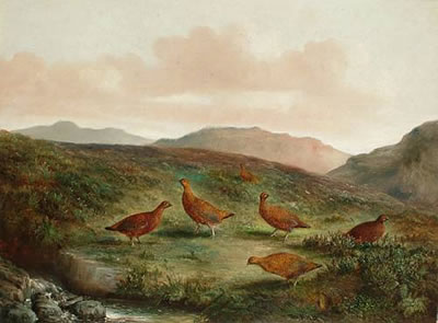 Red grouse on a moor by Tom Hold - Auction record, sale price, and art valuation. Compare with similar artists and explore comparable artworks.