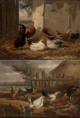 Chickens in a barn; Poultry by a pond,a pair