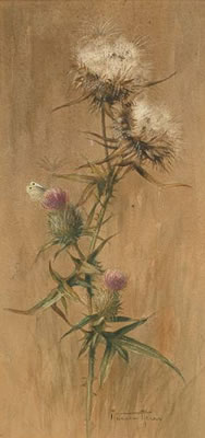 A butterfly on a thistle by Andrew Allan - Auction record, sale price, and art valuation. Compare with similar artists and explore comparable artworks.