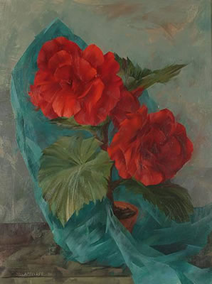 Begonias