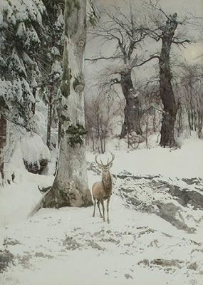 A stag in a winter landscape