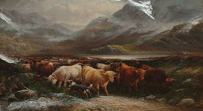 "Highland cattle in a pass"