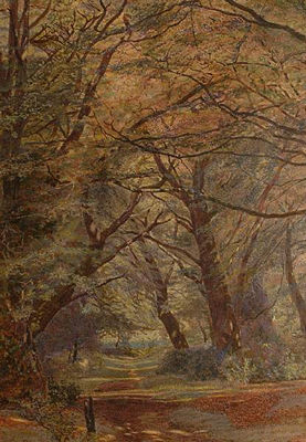 "The path through the woods"