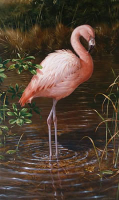 Chilean Flamingo by Michael Jackson - Auction record, sale price, and art valuation. Compare with similar artists and explore comparable artworks.