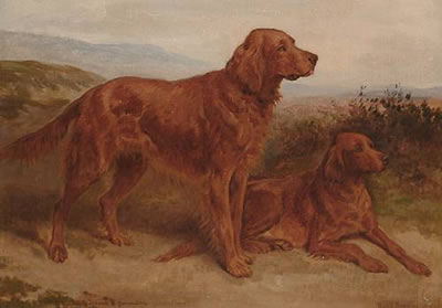 A portrait of two Red Setter - 'Tyrone & Geraldine'. by Basil Bradley - Auction record, sale price, and art valuation. Compare with similar artists and explore comparable artworks.