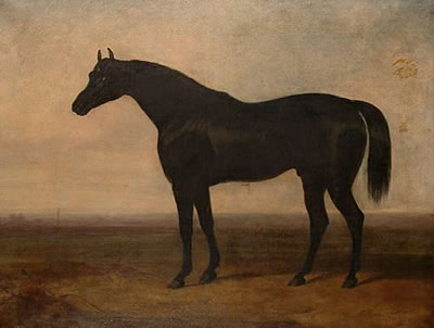 Portrait of a black stallion, believed to depict 'Sir Hercules'. by Charles Hancock - Auction record, sale price, and art valuation. Compare with similar artists and explore comparable artworks.