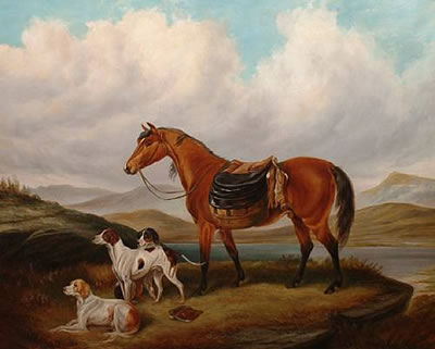 A horse and dogs in a highland landscape